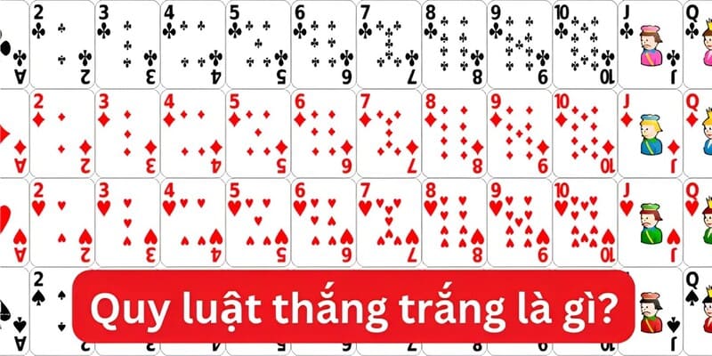 Tứ quý heo có ăn trắng không? - Quy luật tới trắng của 4 lá 2